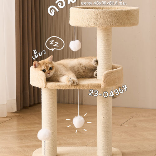 คอนโดแมว2ชั้น