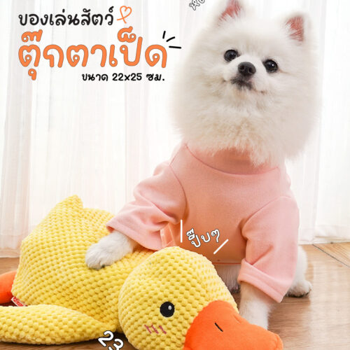 ตุ๊กตาเป็ดมีเสียง