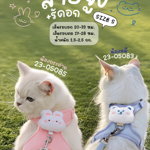 สายจูง+รัดอก