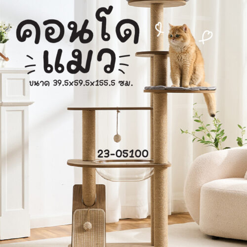 คอนโดแมว+ที่ลับเล็บ
