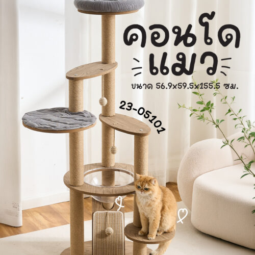 คอนโดแมว+ที่ลับเล็บ